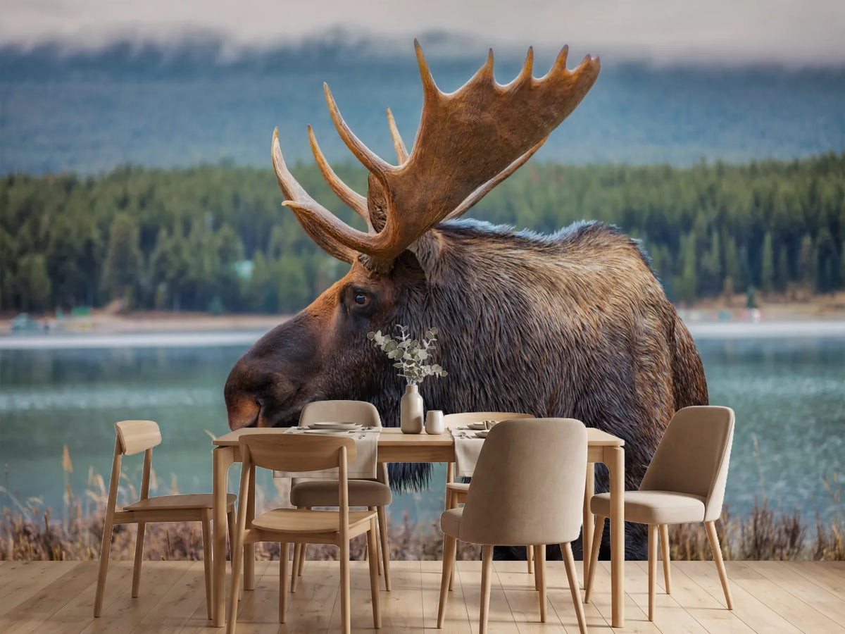 photo-wallpaper-moose-in-autumn-wilderness