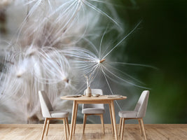 photo-wallpaper-close-up-flowers-fibers