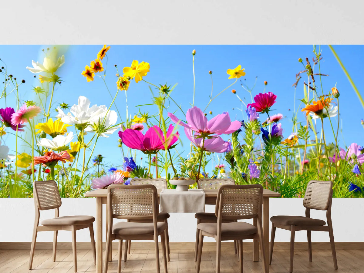 photo-wallpaper-flower-meadow-background-panorama-summer-flowers