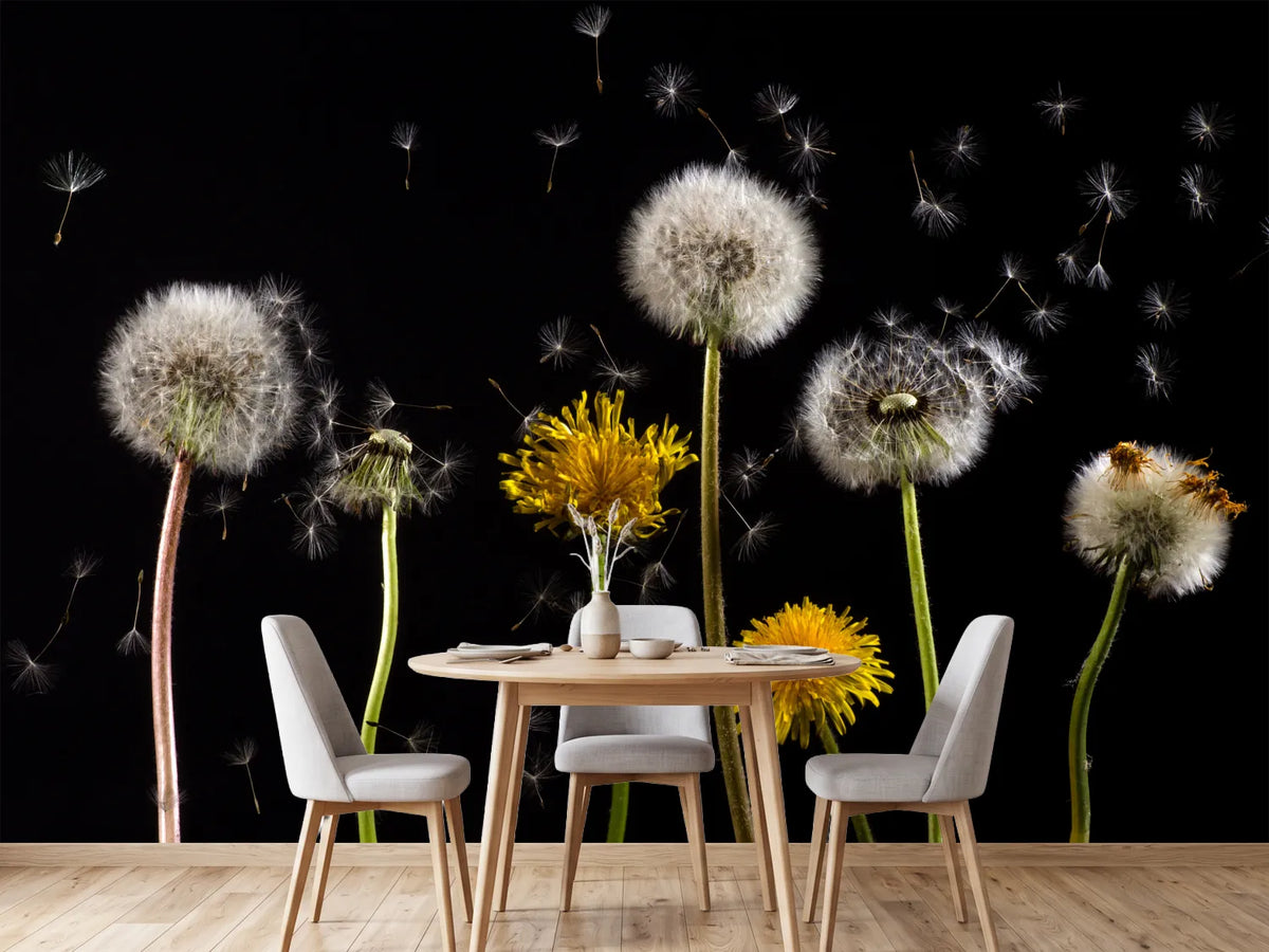 photo-wallpaper-the-phases-of-dandelion
