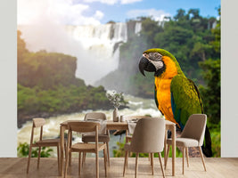 photo-wallpaper-parrot-perched-on-branch-overlooking-a-waterfall