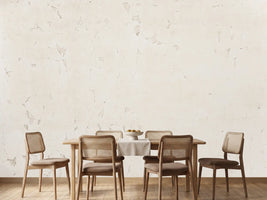 photo-wallpaper-distressed-wall-texture