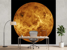 photo-wallpaper-the-venus