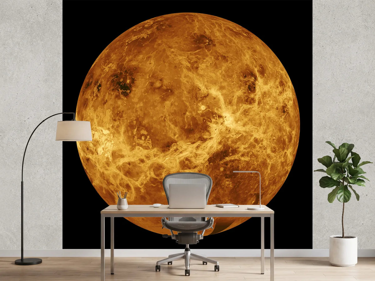 photo-wallpaper-the-venus