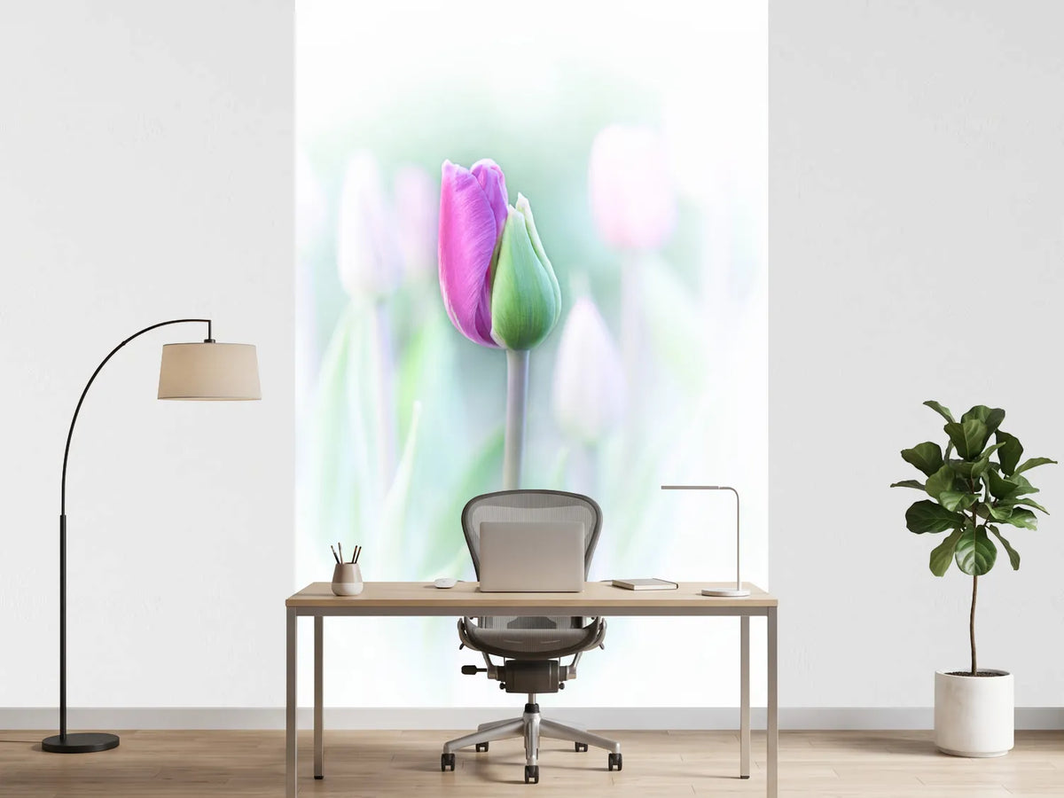 photo-wallpaper-elegant-x