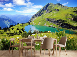 photo-wallpaper-seealpsee-2