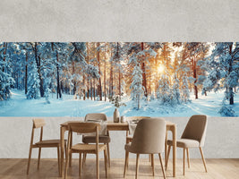 photo-wallpaper-silent-trail-in-the-white-forest