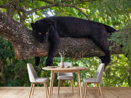 photo-wallpaper-black-panther-on-a-tree-branch