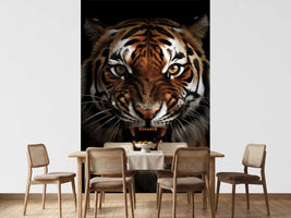 photo-wallpaper-snarling-tiger-in-the-dark-with-amber-eyes