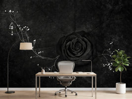 photo-wallpaper-rose-noire