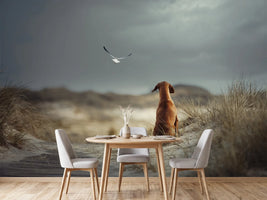 photo-wallpaper-freedom-ii-x