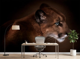 photo-wallpaper-puma