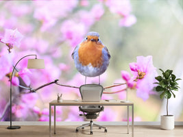 photo-wallpaper-spring-bird