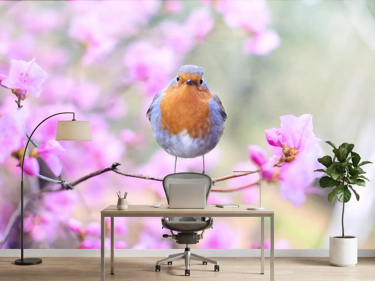 photo-wallpaper-spring-bird