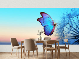 photo-wallpaper-blue-morpho-butterfly-on-a-dandelion-seed-head-at-sunrise