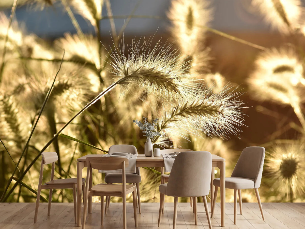 photo-wallpaper-ornamental-grass-in-the-sunlight