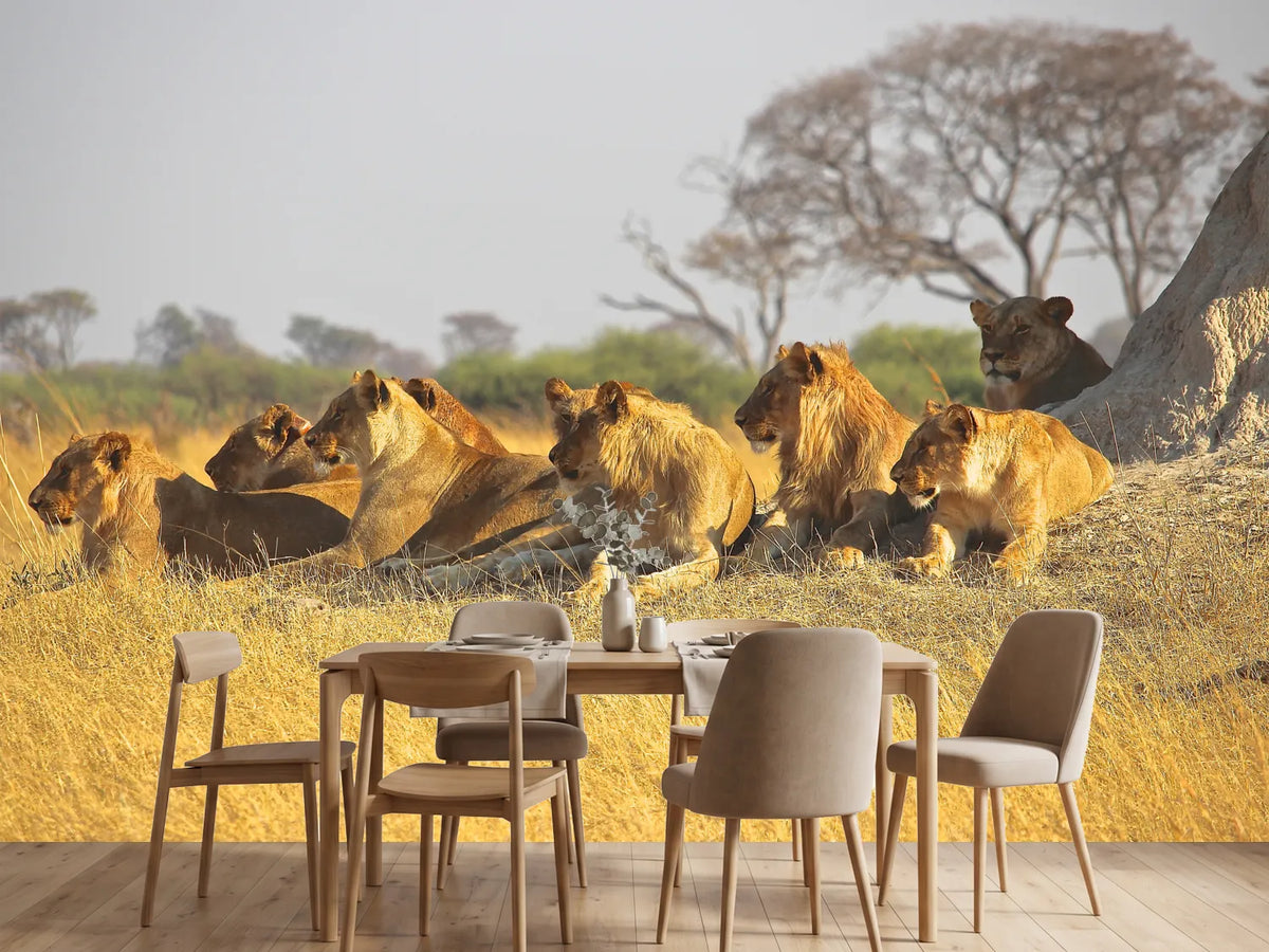 photo-wallpaper-lion-family