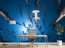 photo-wallpaper-hammerhead-shark