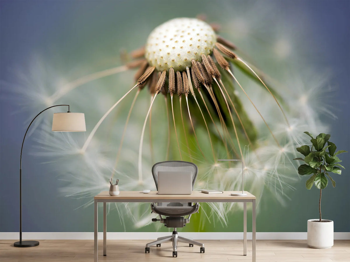 photo-wallpaper-dandelion-close-up