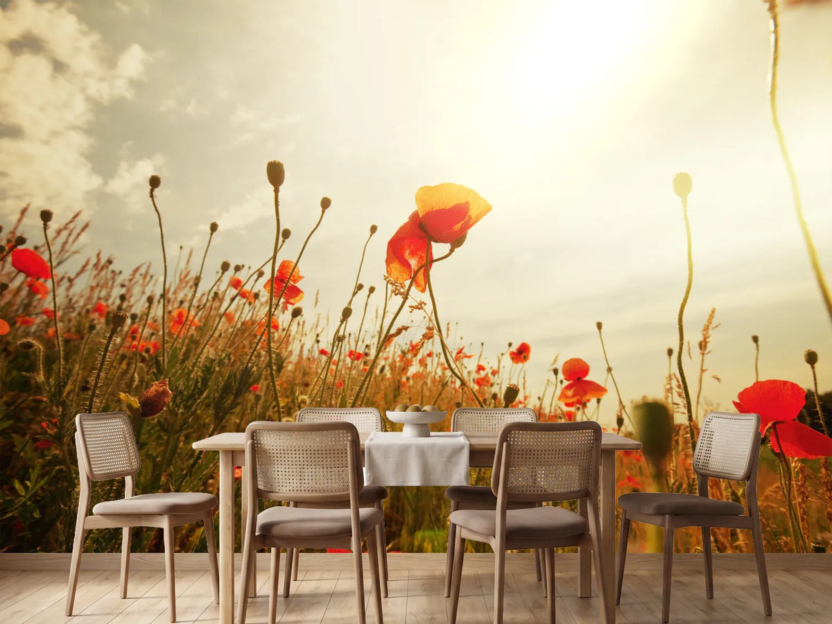 photo-wallpaper-the-poppy-field-at-sunrise