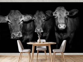 photo-wallpaper-kuh-2