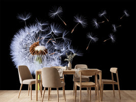 photo-wallpaper-dandelion-blowing