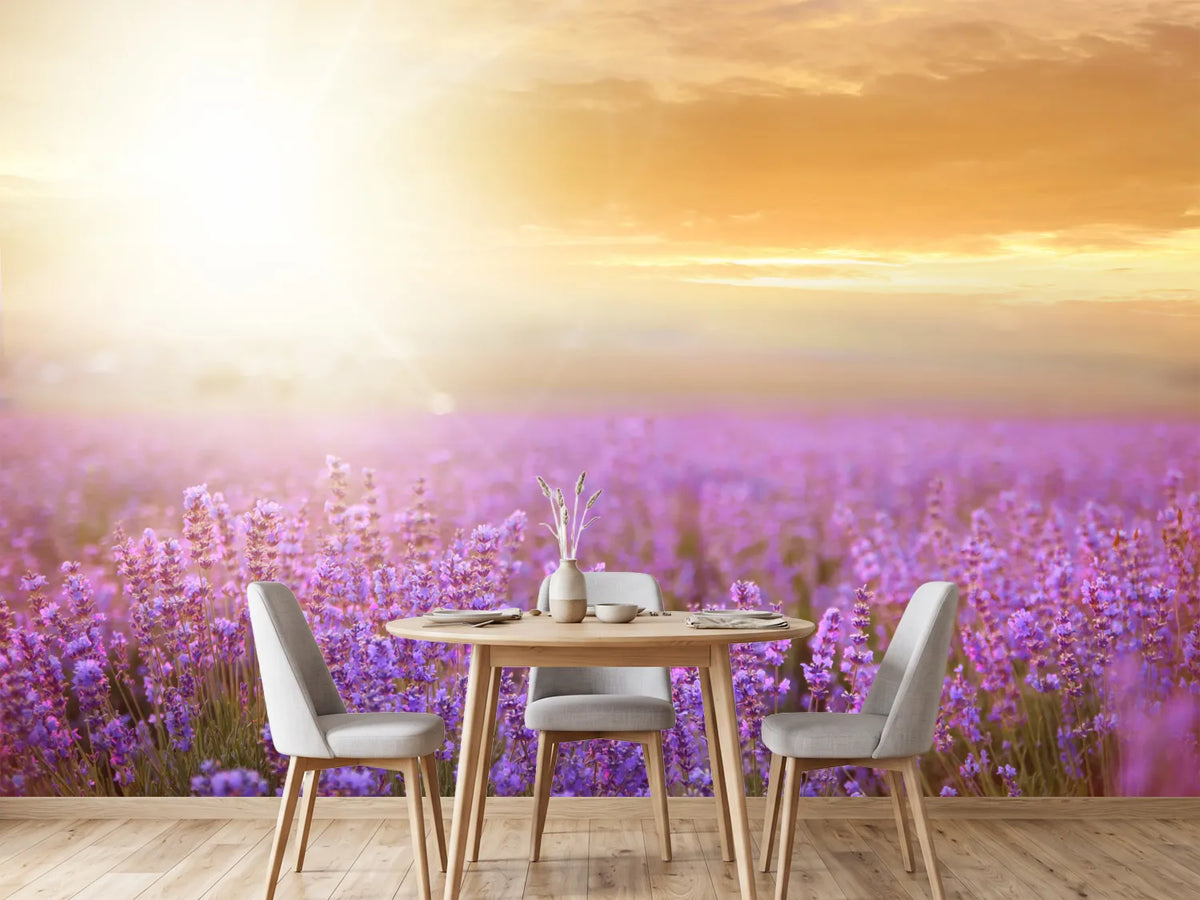 photo-wallpaper-sunset-in-lavender-field