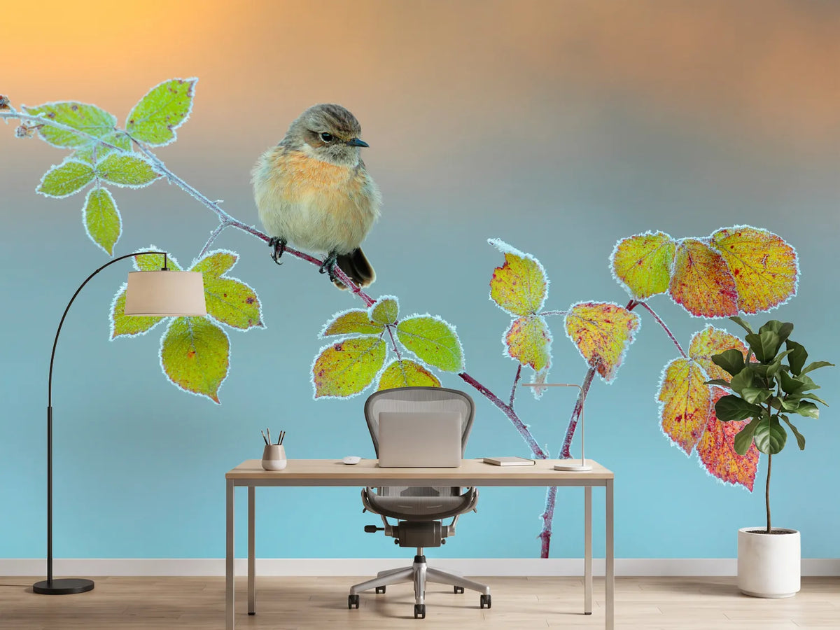 photo-wallpaper-winter-colors
