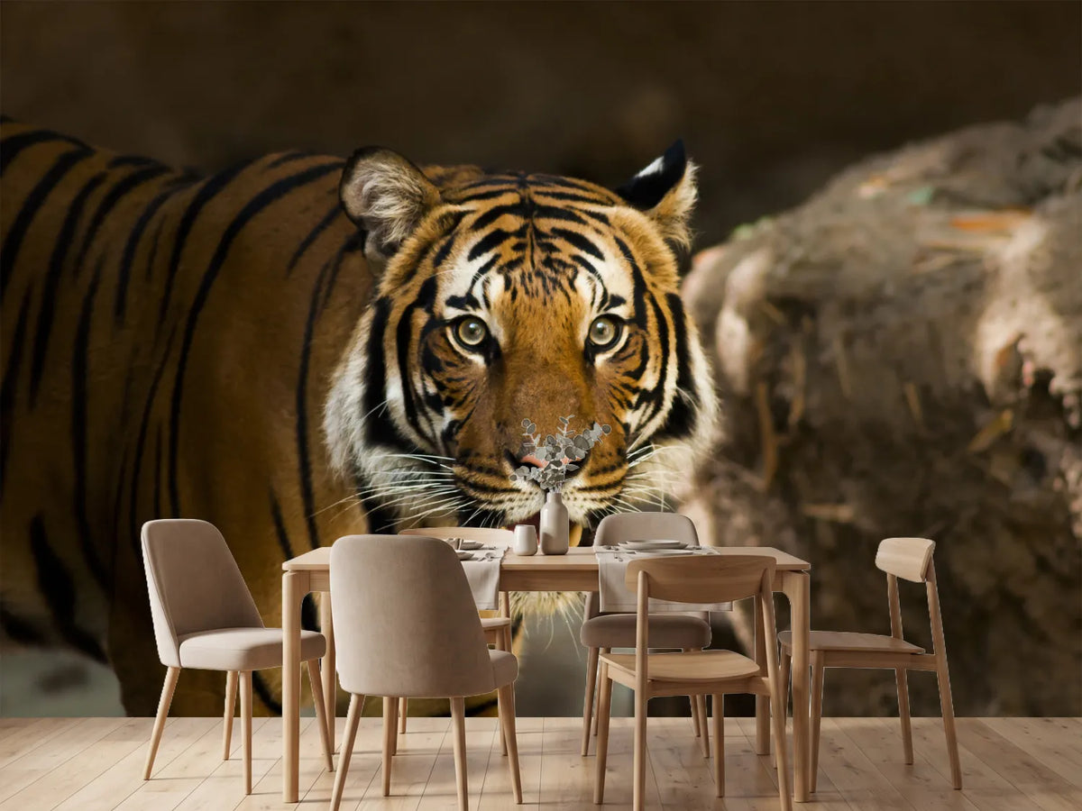 photo-wallpaper-sibirian-tiger