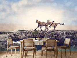 photo-wallpaper-two-cheetahs