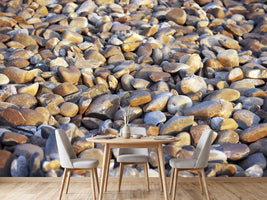 photo-wallpaper-beach-stones-ii