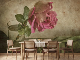 photo-wallpaper-tear-of-rose-x