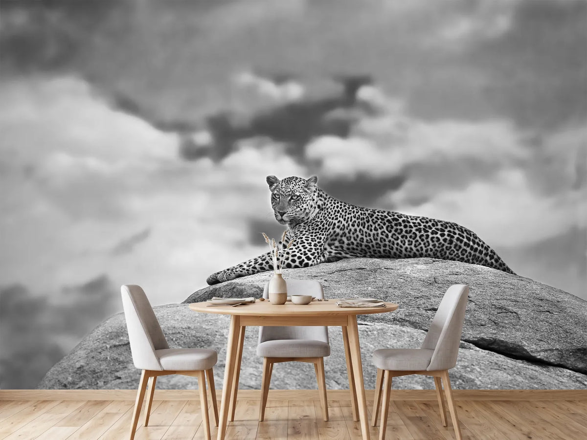 photo-wallpaper-leopard-on-a-kopje-x