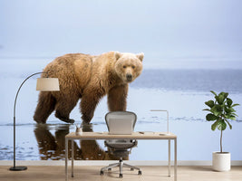 photo-wallpaper-the-bear-walk-x