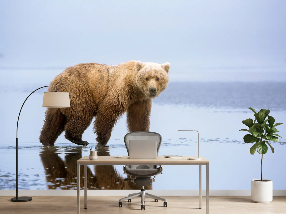 photo-wallpaper-the-bear-walk-x