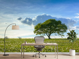 photo-wallpaper-spring-tree