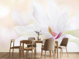 photo-wallpaper-purity-x