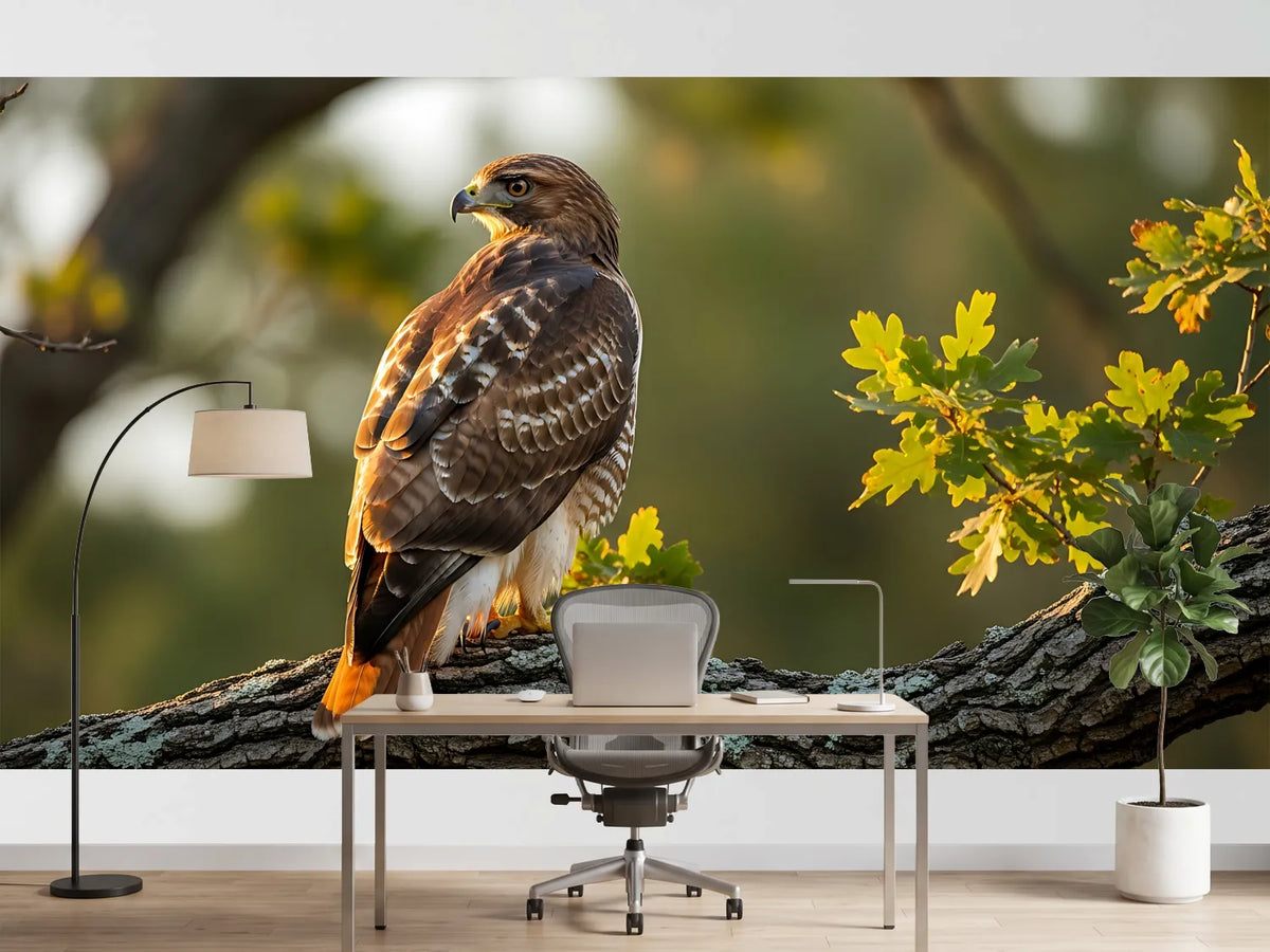 photo-wallpaper-bird-of-prey-on-an-oak-branch-in-golden-evening-light