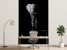 photo-wallpaper-elephant-xsa