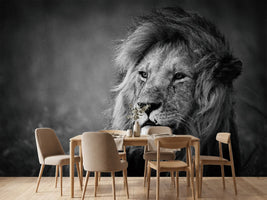 photo-wallpaper-regal-x