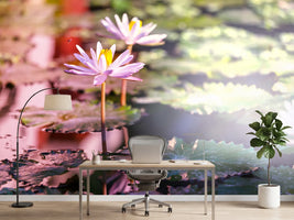 photo-wallpaper-lilies-in-pond