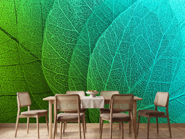 photo-wallpaper-macro-leaves-background