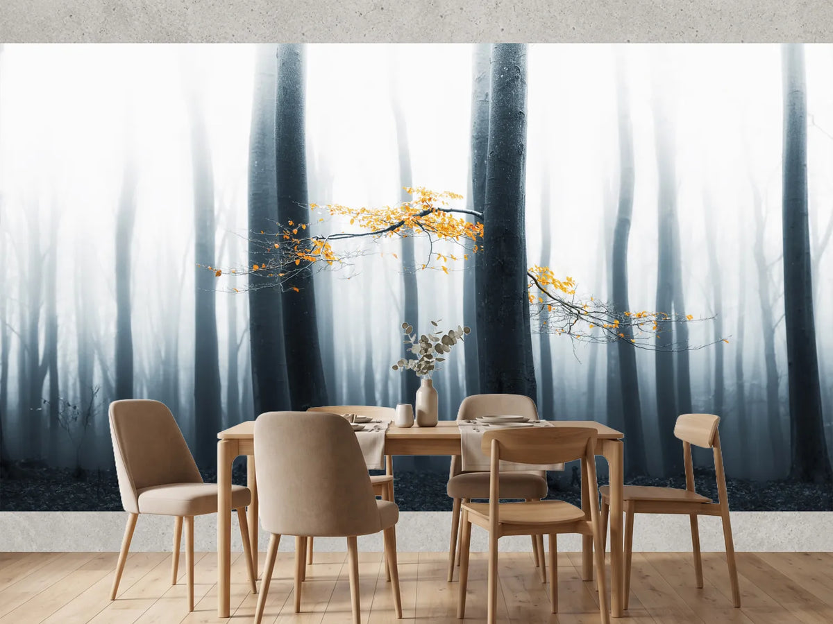photo-wallpaper-misty-forest-glow-2