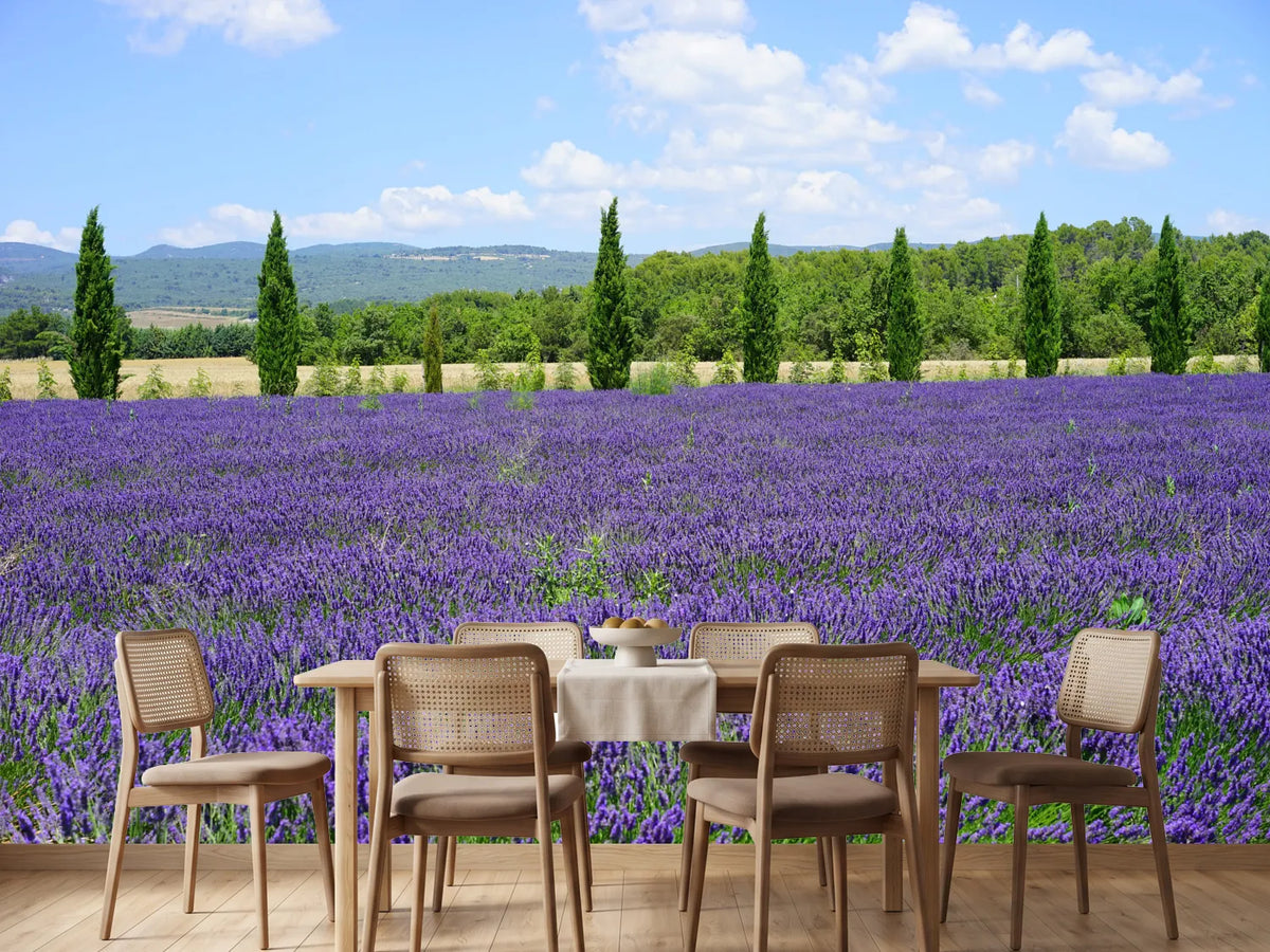 photo-wallpaper-magnificent-lavender-field