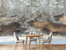 photo-wallpaper-running-reindeer-herd