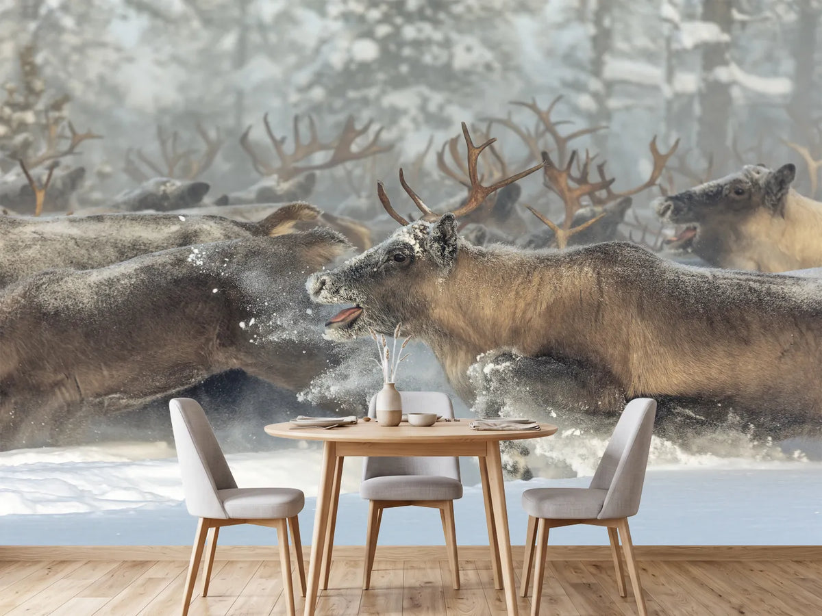 photo-wallpaper-running-reindeer-herd