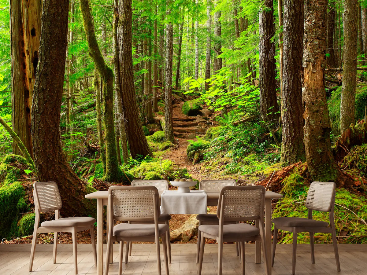 photo-wallpaper-a-picture-of-an-pacific-northwest-forest-trail