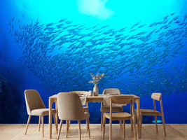 photo-wallpaper-fish-world