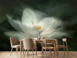photo-wallpaper-swaying-x