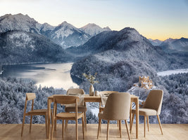 photo-wallpaper-neuschwanstein-castle-in-ammergebierge